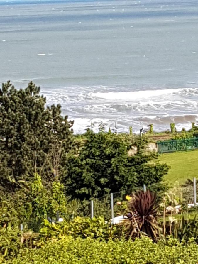 Norwegian Wood * Paignton