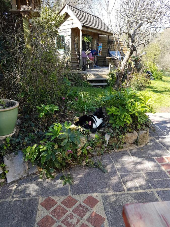 Guest house Norwegian Wood Paignton