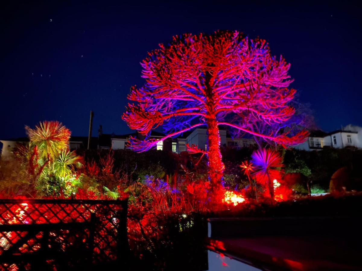 Guest house Norwegian Wood *